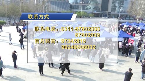亮點(diǎn)多多 河北省第二場(chǎng) 春招 在省藝術(shù)中心文化廣場(chǎng)舉辦