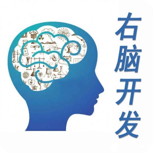 “開發(fā)右腦”真相大揭秘 別讓“神童夢(mèng)”蒙蔽雙眼